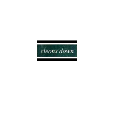 ECP-001 Cleons Down 7" (June 1996). Second sleeve